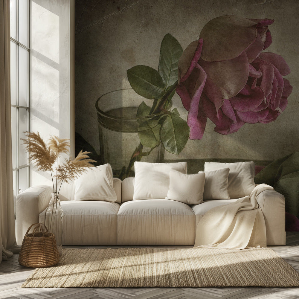 Träne der Rose | Fototapeten