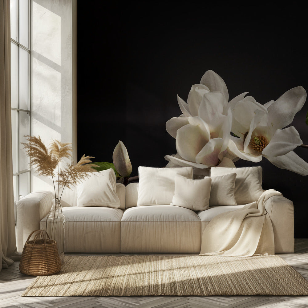 Magnolia | Fototapeta