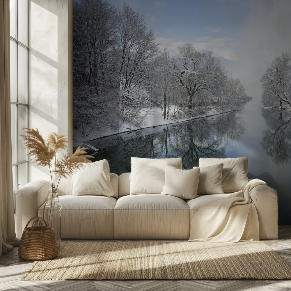 Vinter | Fototapet