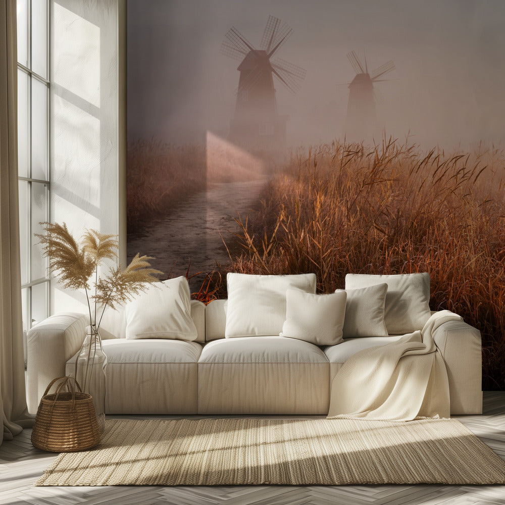 Brume matinale | Papier Peint Photo
