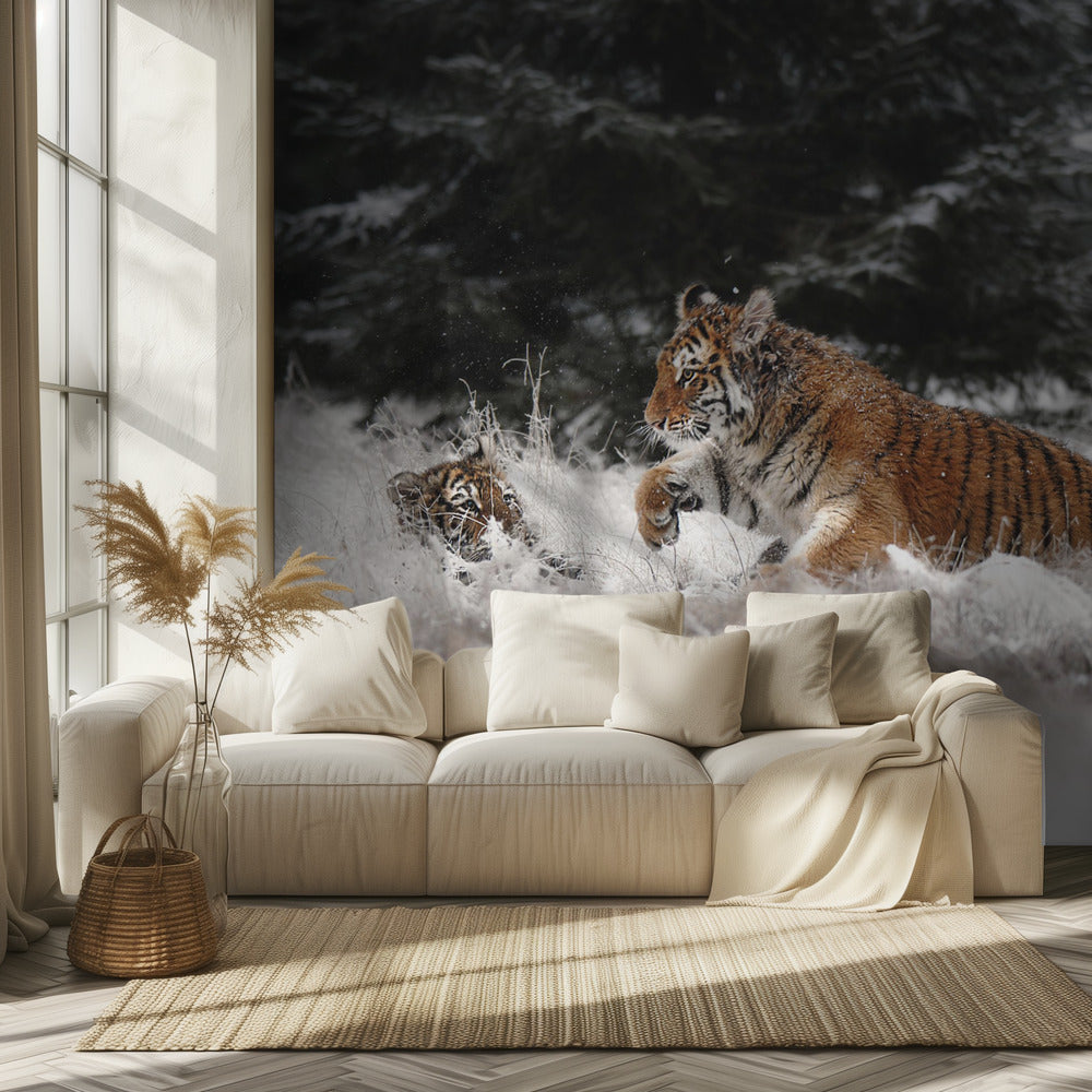 Freude im Schnee | Fototapeten
