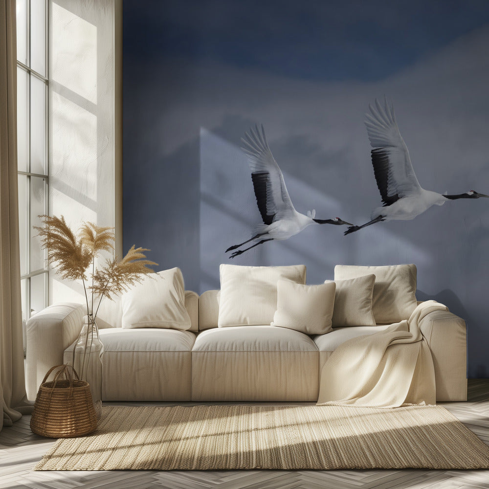 Sandhill i aktion | Fototapeter