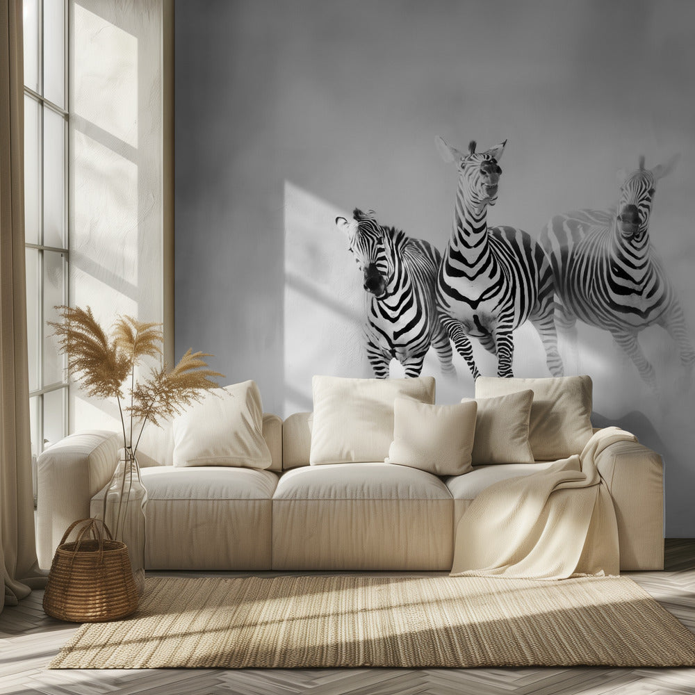ZEBRAR | Fototapet