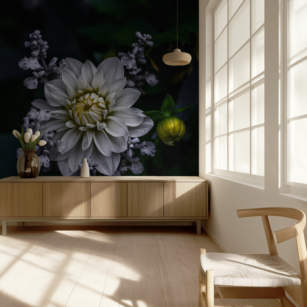 Dahlienblüte | Fototapeten