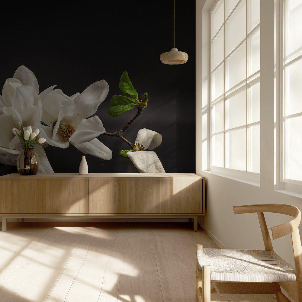 Magnolia | Fototapeta