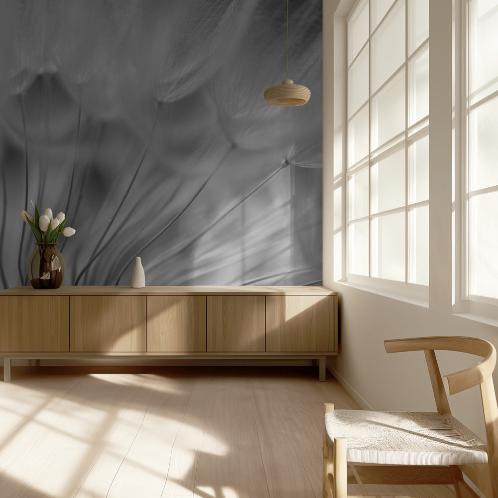Droom | Fotobehang