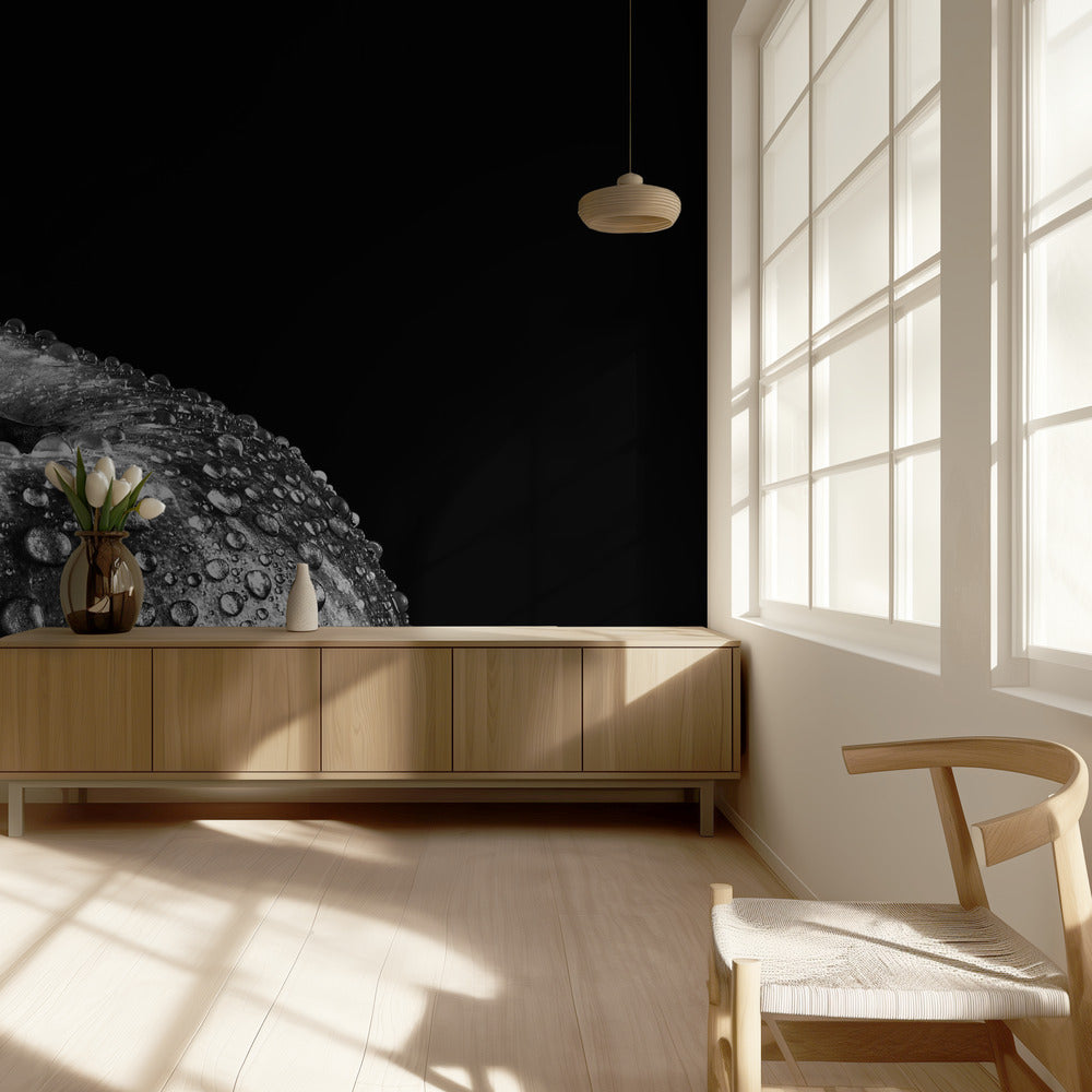 bellen | Fotobehang