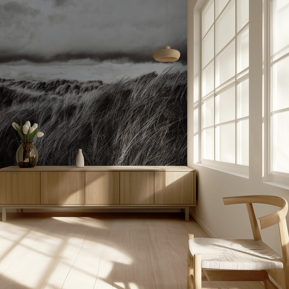 Dunes d'herbe | Papier Peint Photo