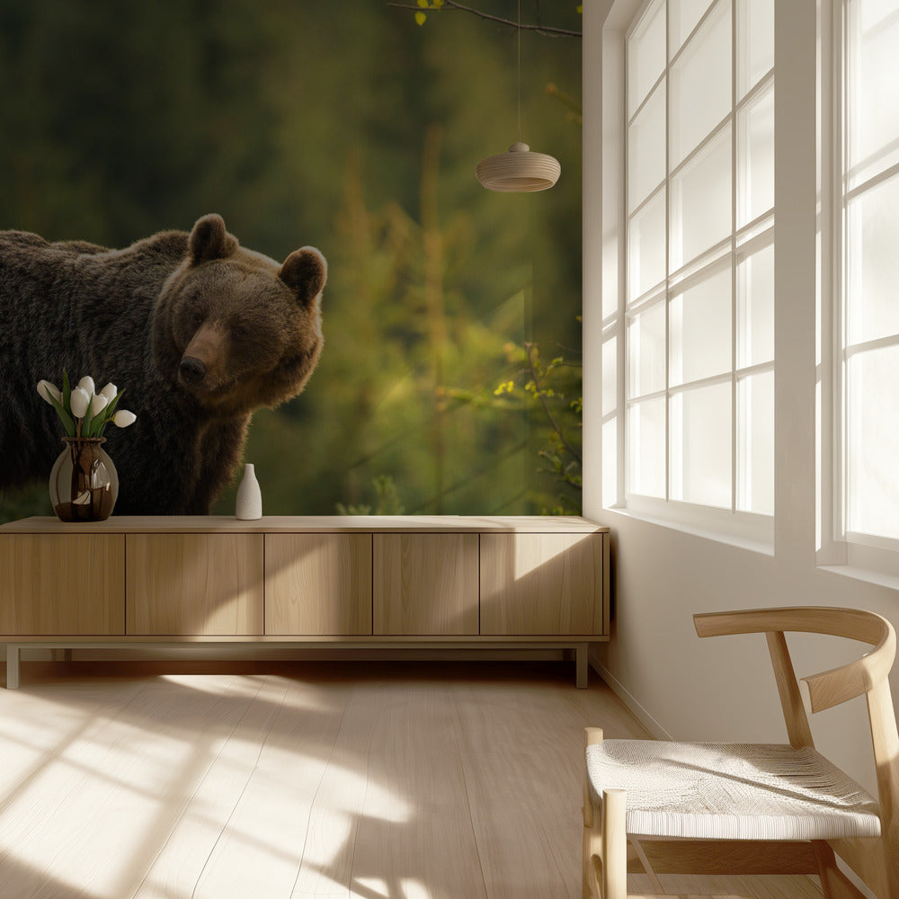 Bär mit Hintergrundbeleuchtung | Fototapeten