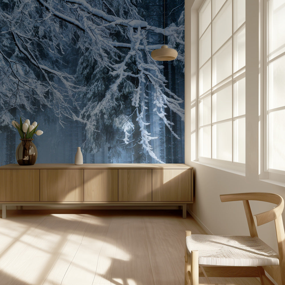 Snövärld | Fototapet