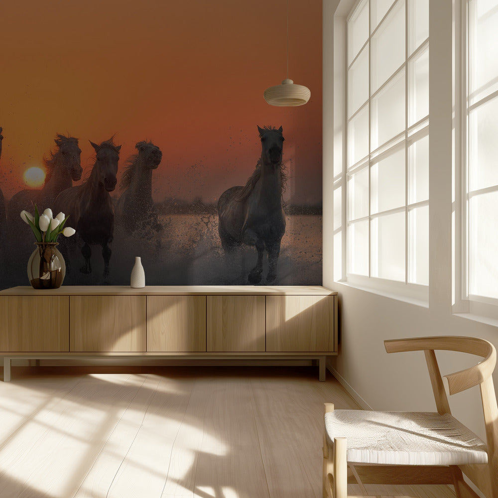 Zonsondergang in de Camargue | Fotobehang