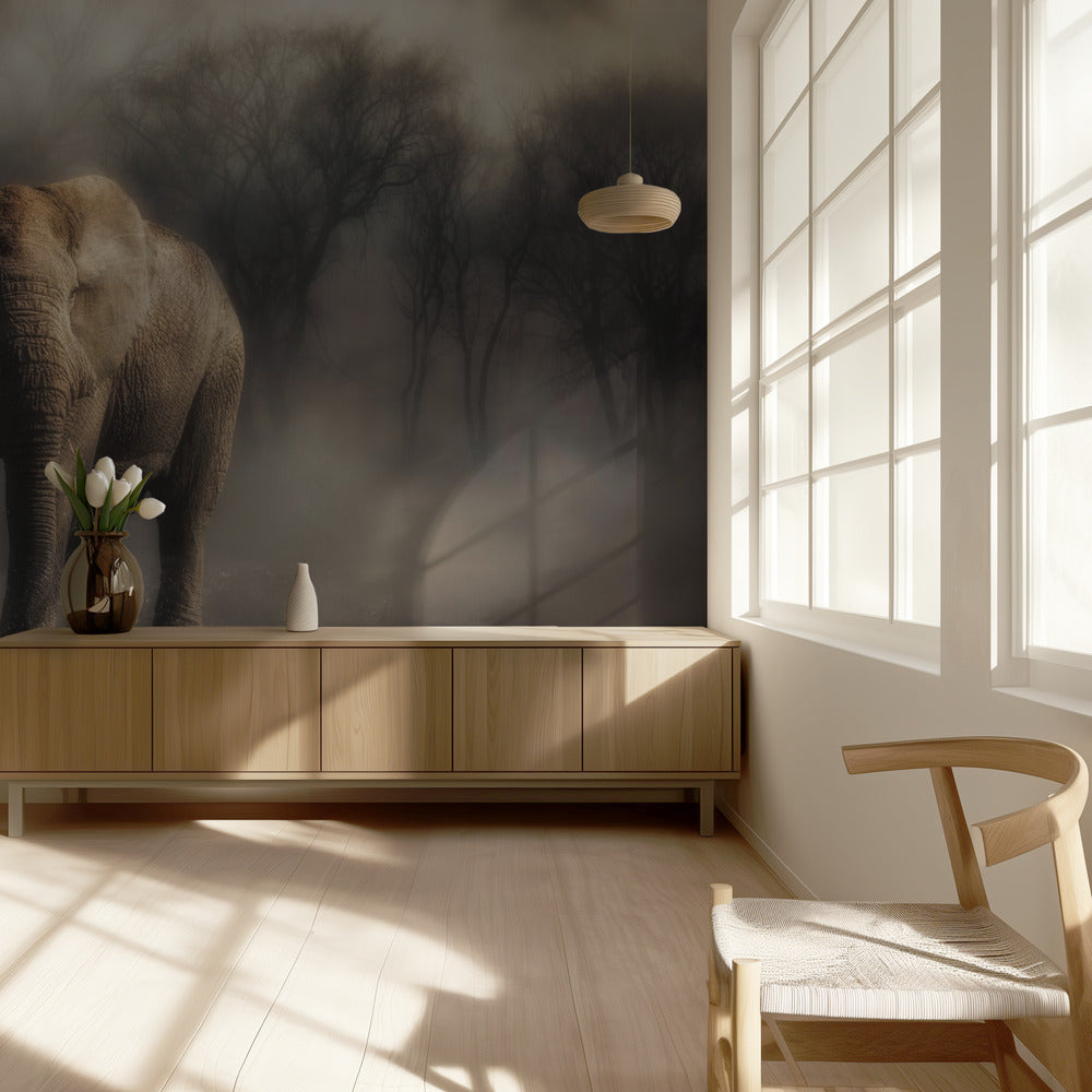 “...elefante bebiendo agua...' | Papel Pintado Fotográfico