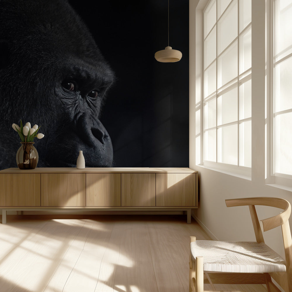 sguardo del gorilla | Carta da Parati Fotografica
