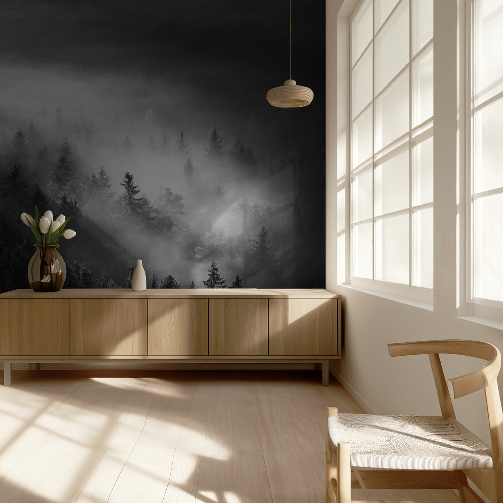 Misty | Fototapeten
