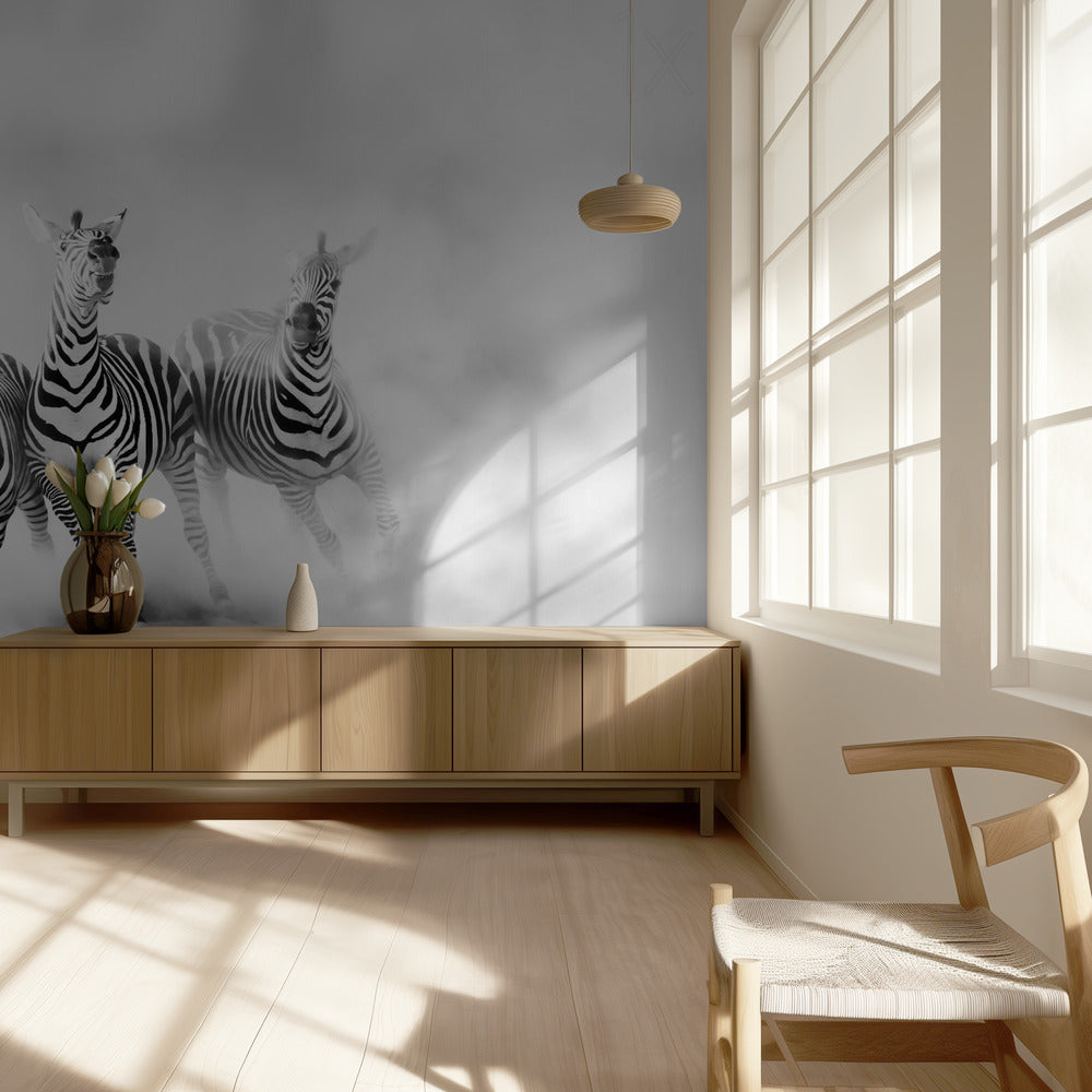 ZEBRAR | Fototapet