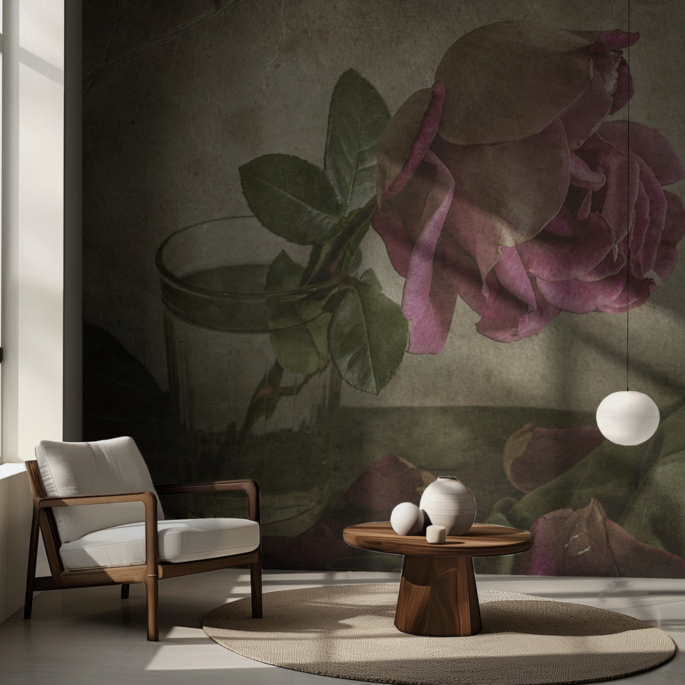 Träne der Rose | Fototapeten