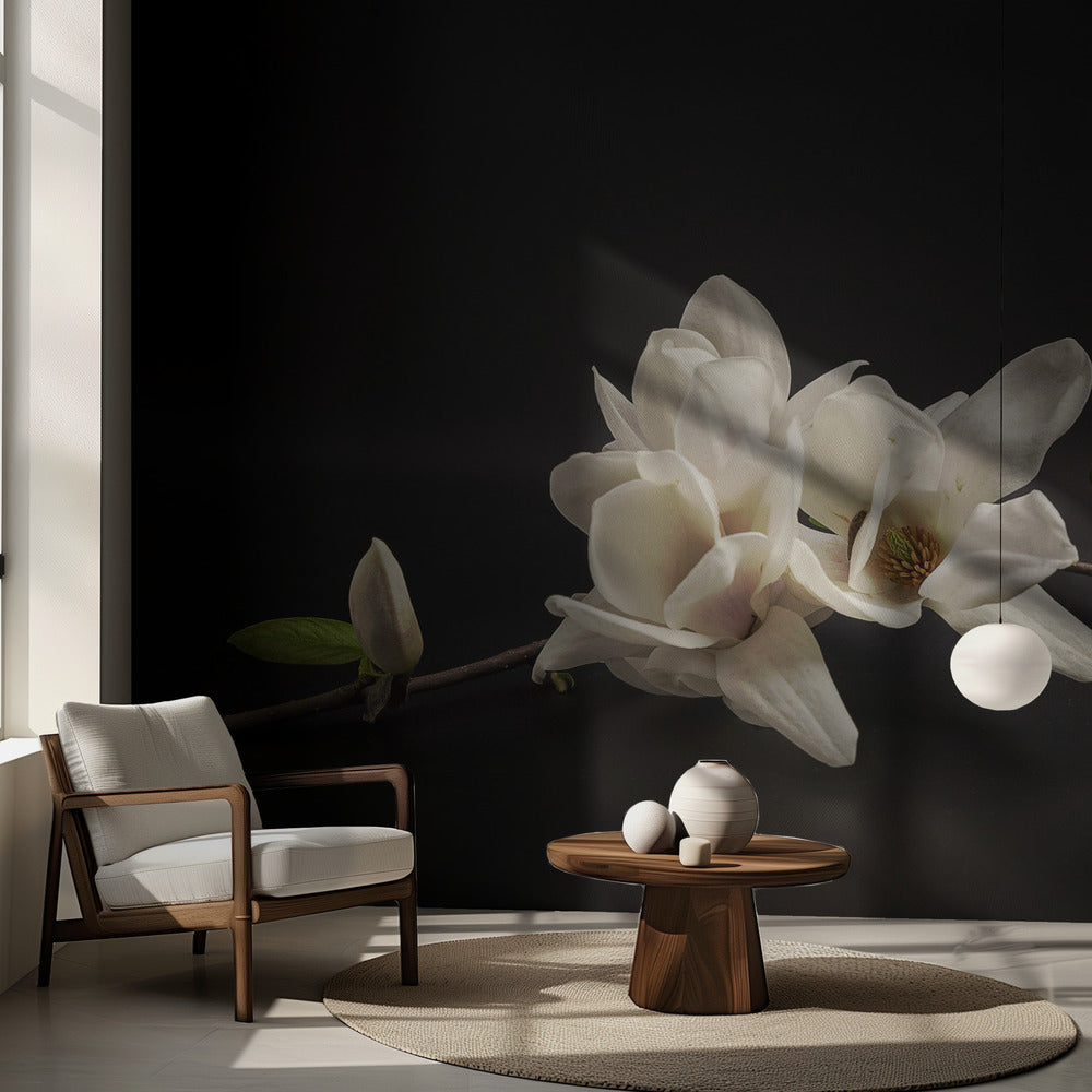 Magnolia | Fototapeta