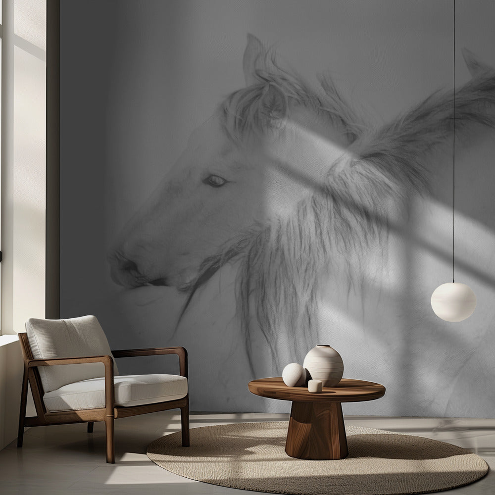 Konie | Fototapeta