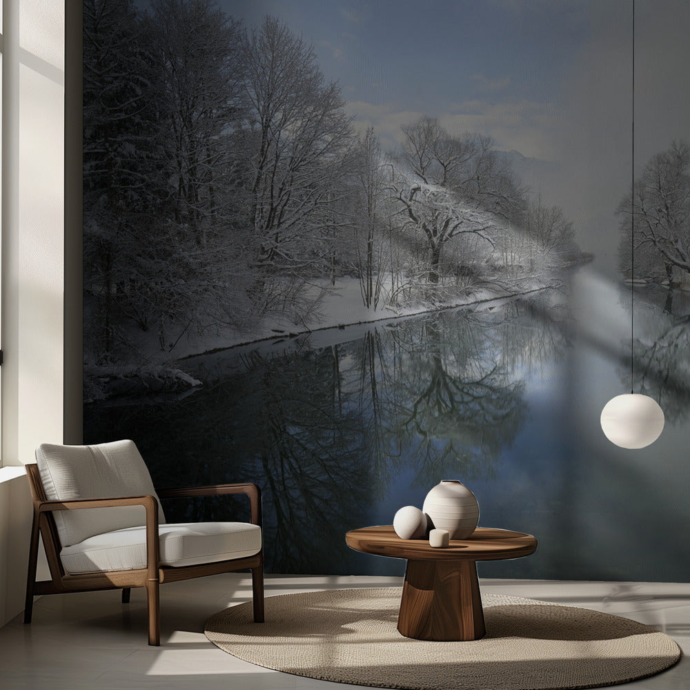 Vinter | Fototapet