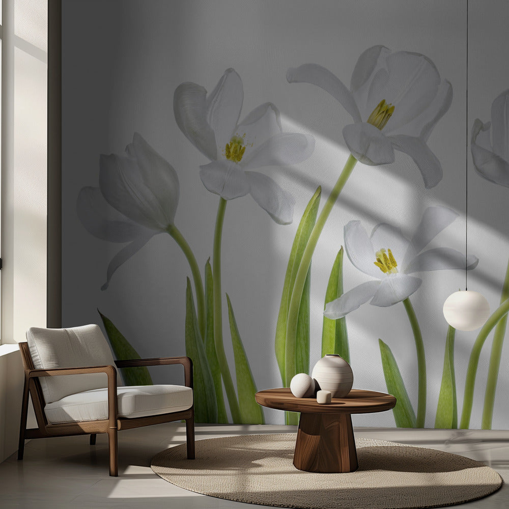 Tulipes blanches | Papier Peint Photo