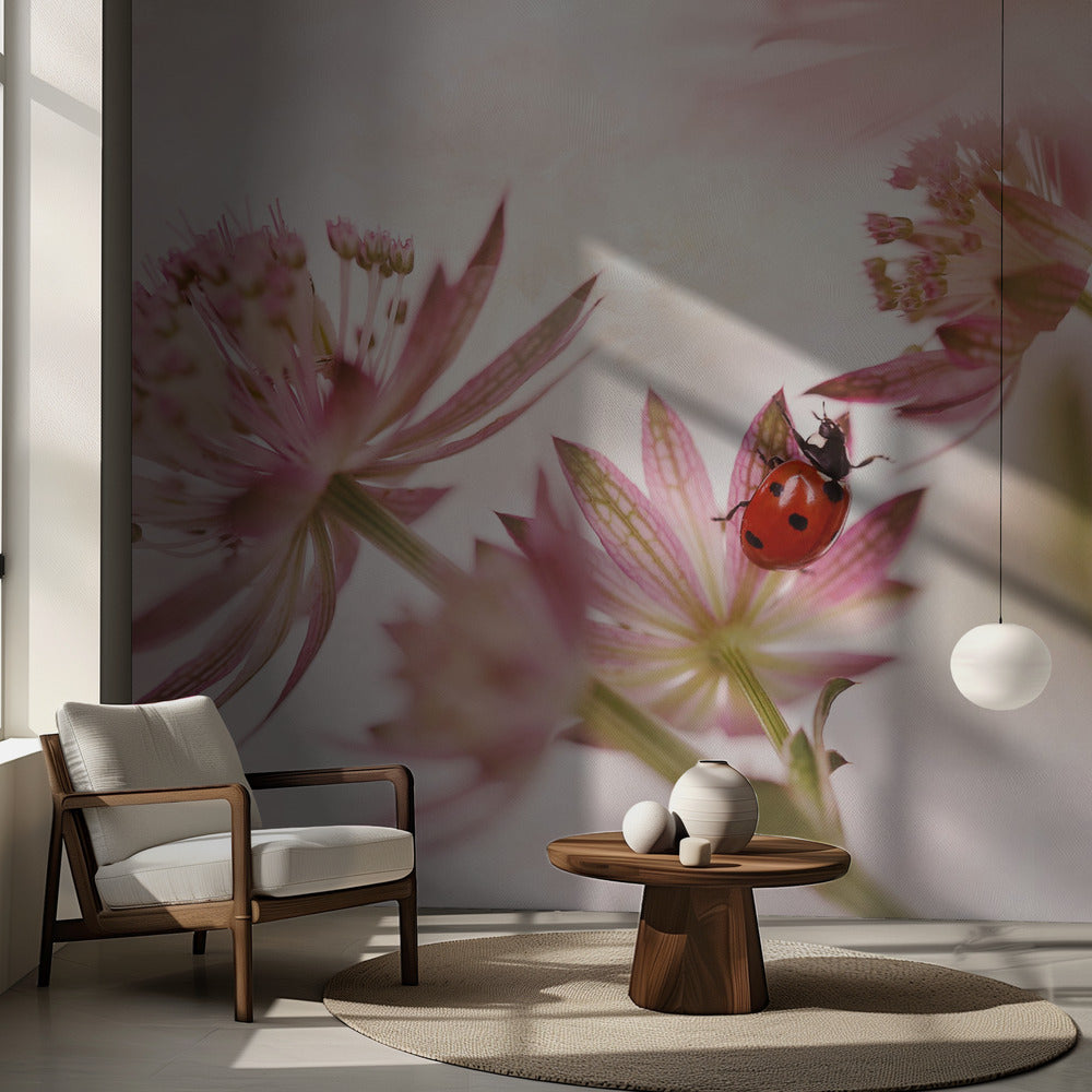 Lieveheersbeestje en roze bloemen | Fotobehang