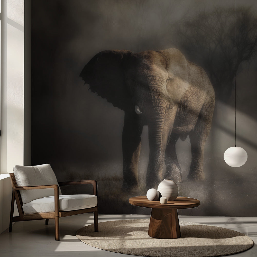 “...elefante bebiendo agua...' | Papel Pintado Fotográfico
