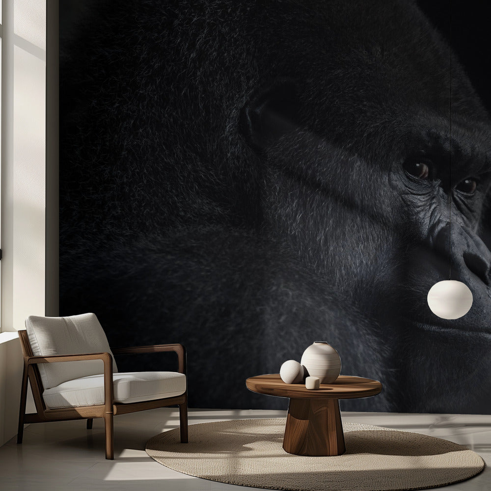 sguardo del gorilla | Carta da Parati Fotografica
