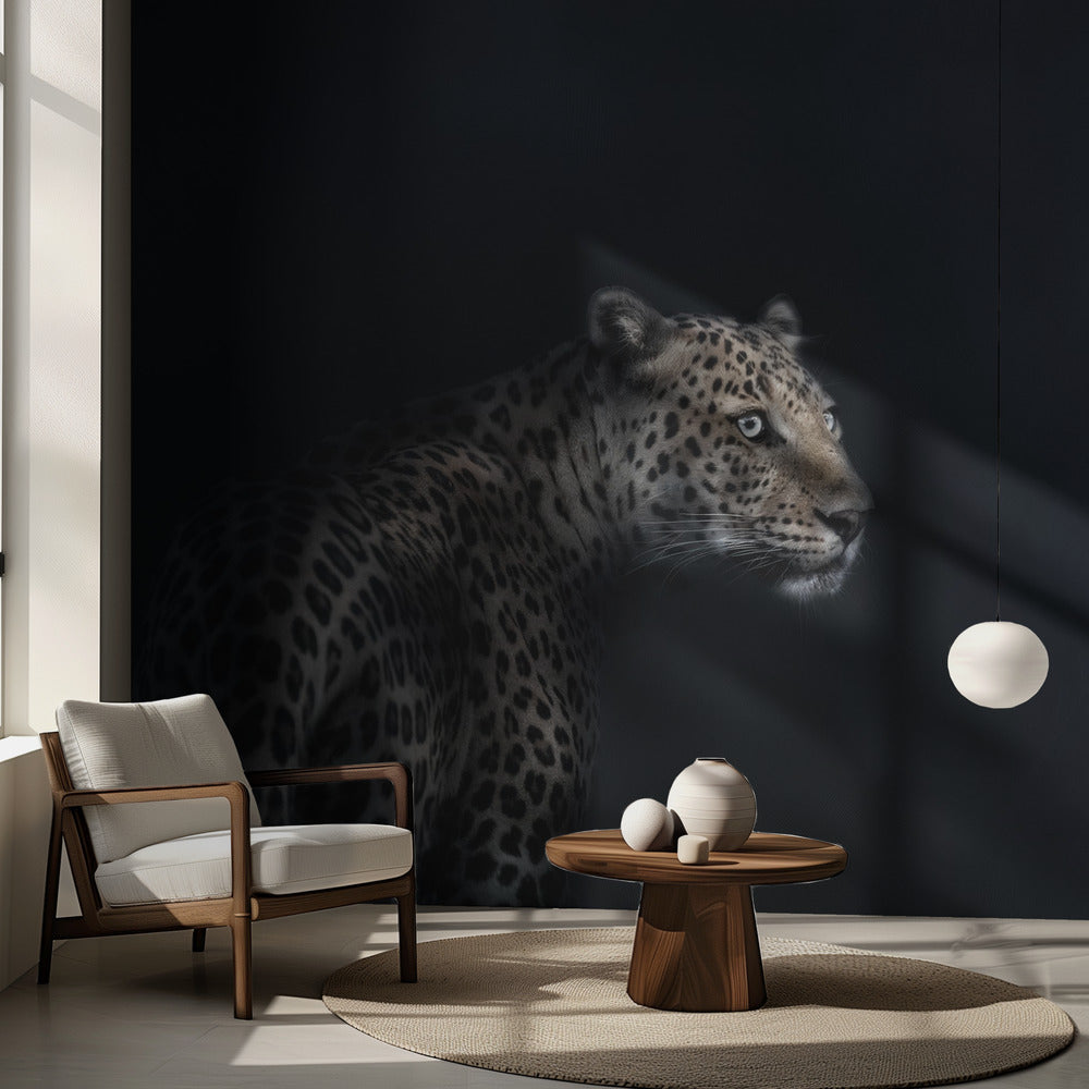 Imaginación | Papel Pintado Fotográfico