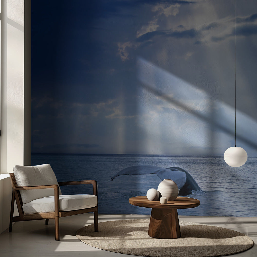 Hval og solstråler | Fototapeter