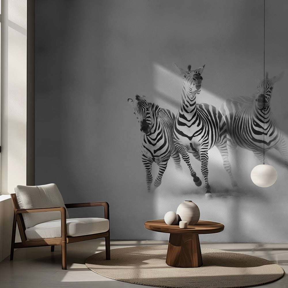 ZEBRAR | Fototapet