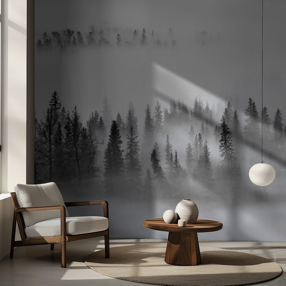 Nebliger Wald | Fototapeten