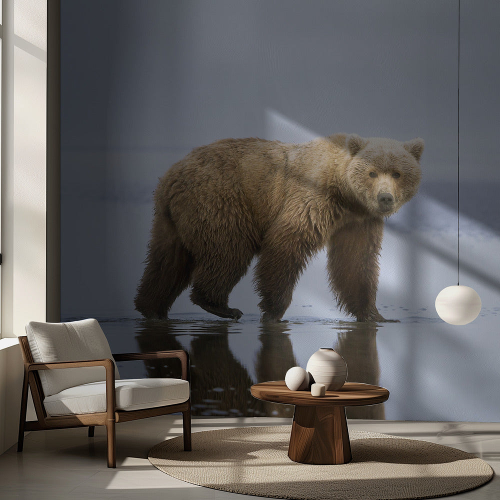 La passeggiata dell'orso | Carta da Parati Fotografica