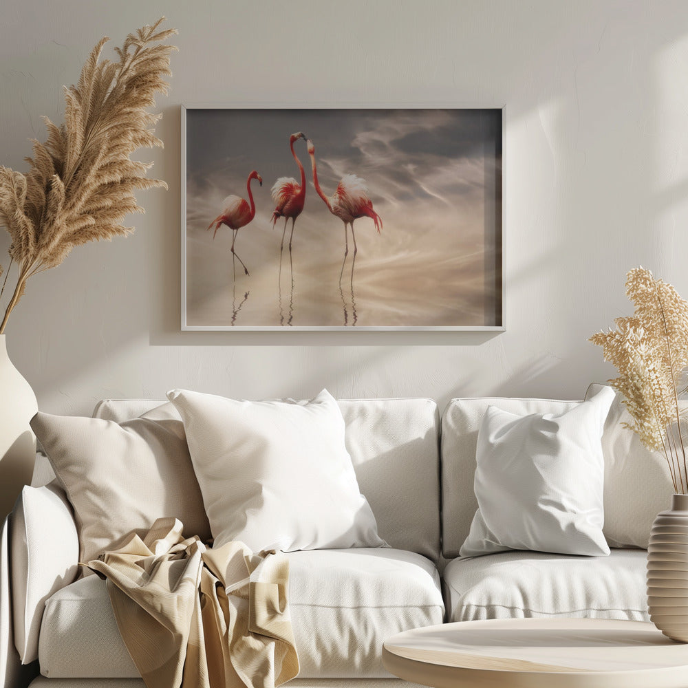 combattere ... | Poster - Stampe d’Arte