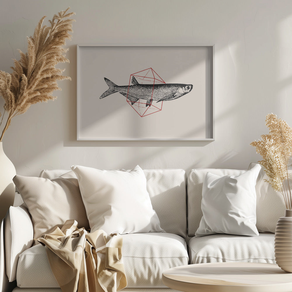 Fisk i geometri nr 2 | Poster