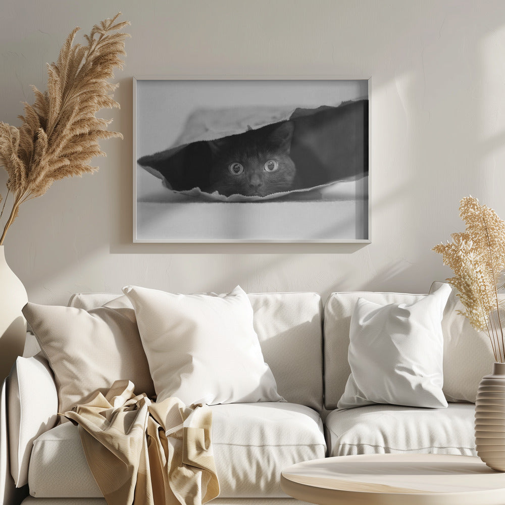 Katze im Sack | Poster - Kunstdruck