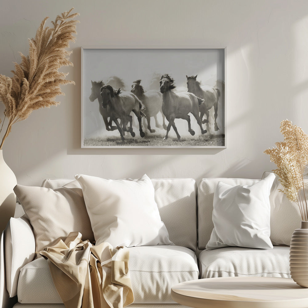 Cheval | Posters - Affiche Artistique