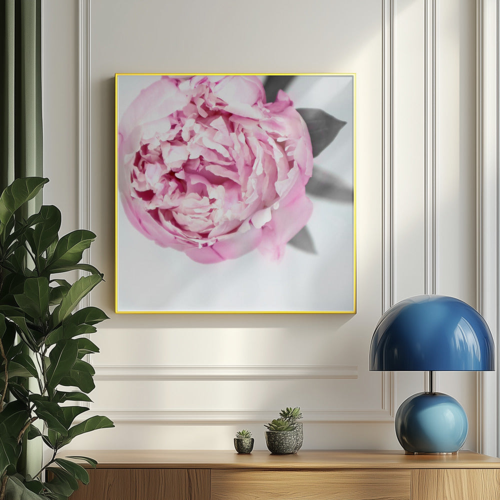 Pink peony III | Poster