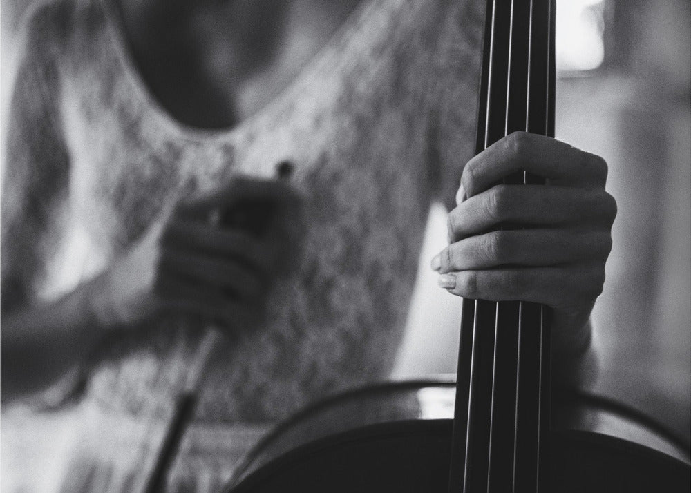 descanso para el violonchelo | Impresiones en Lienzo