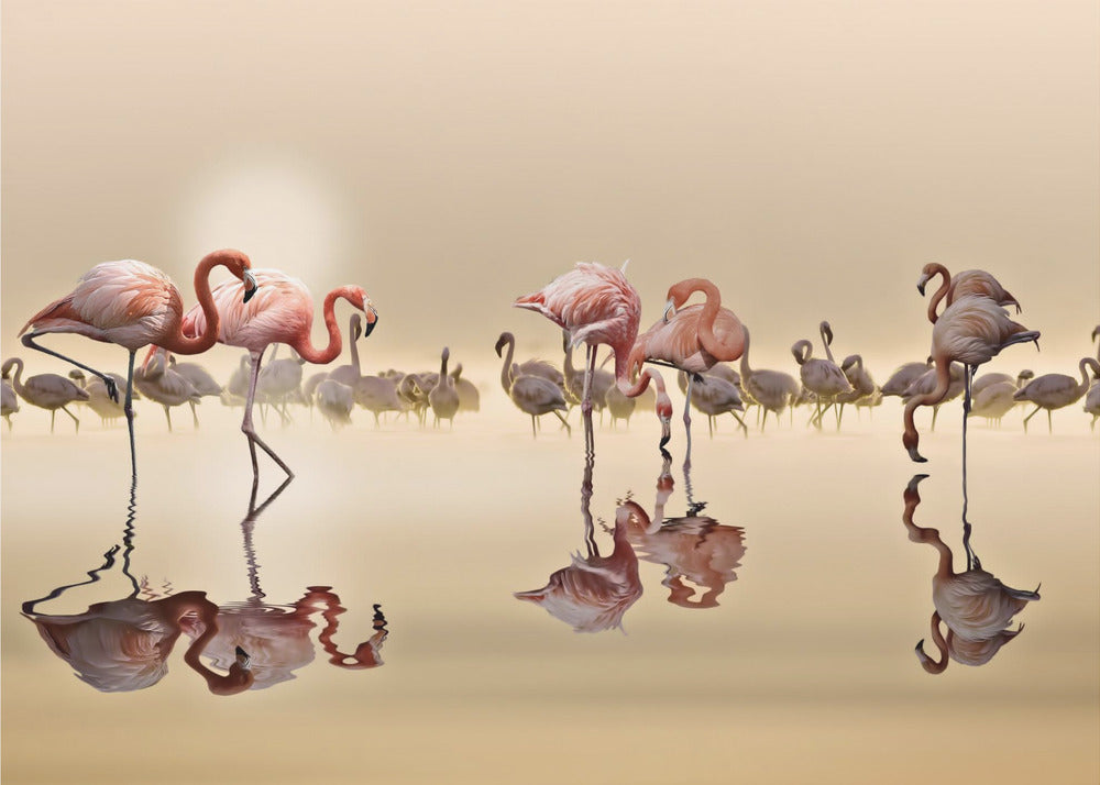 FLAMINGOS | Fototapeten