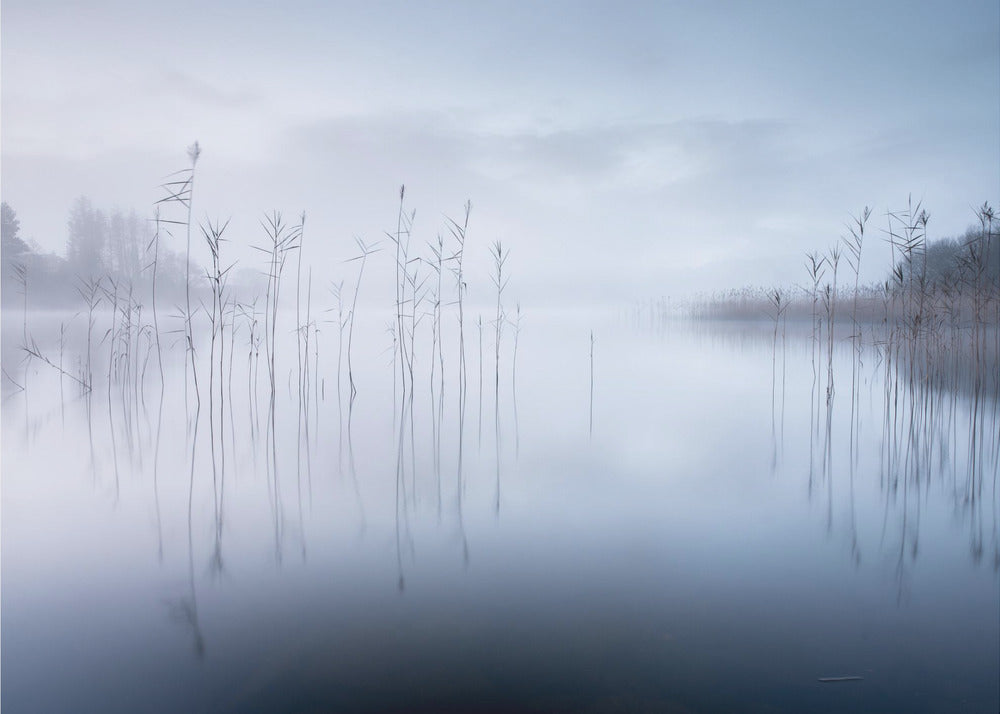 Ohne Titel | Fototapeten