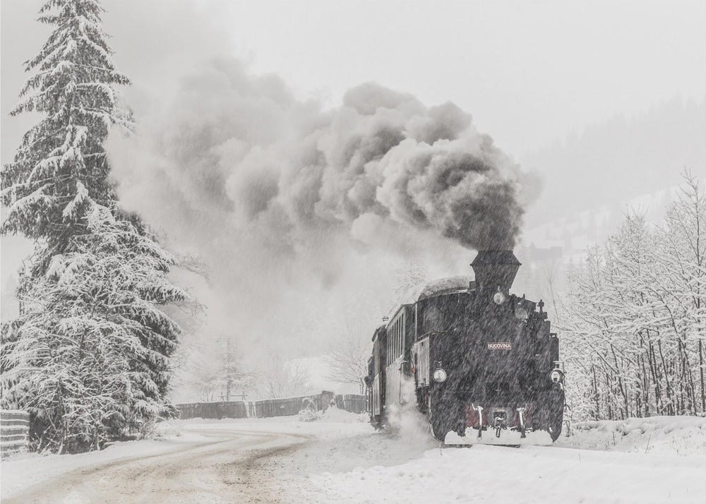 Racconto invernale | Carta da Parati Fotografica