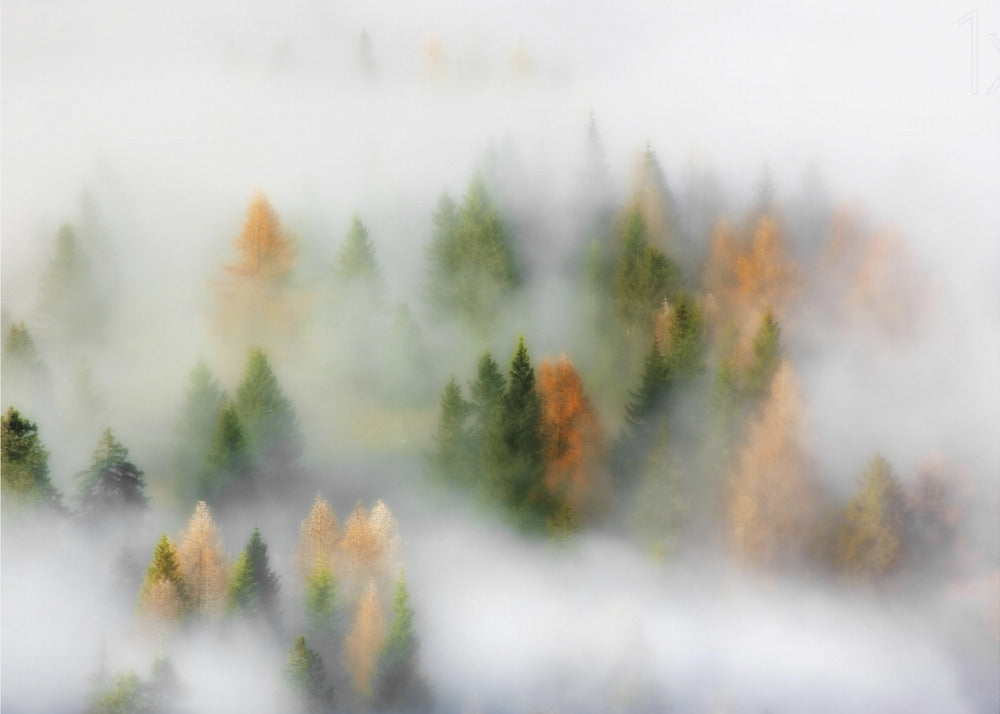 Sogno d'autunno | Poster - Stampe d’Arte