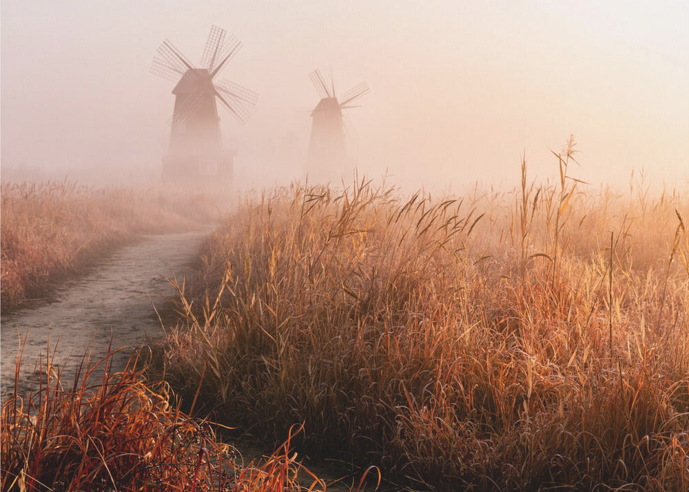Brume matinale | Papier Peint Photo