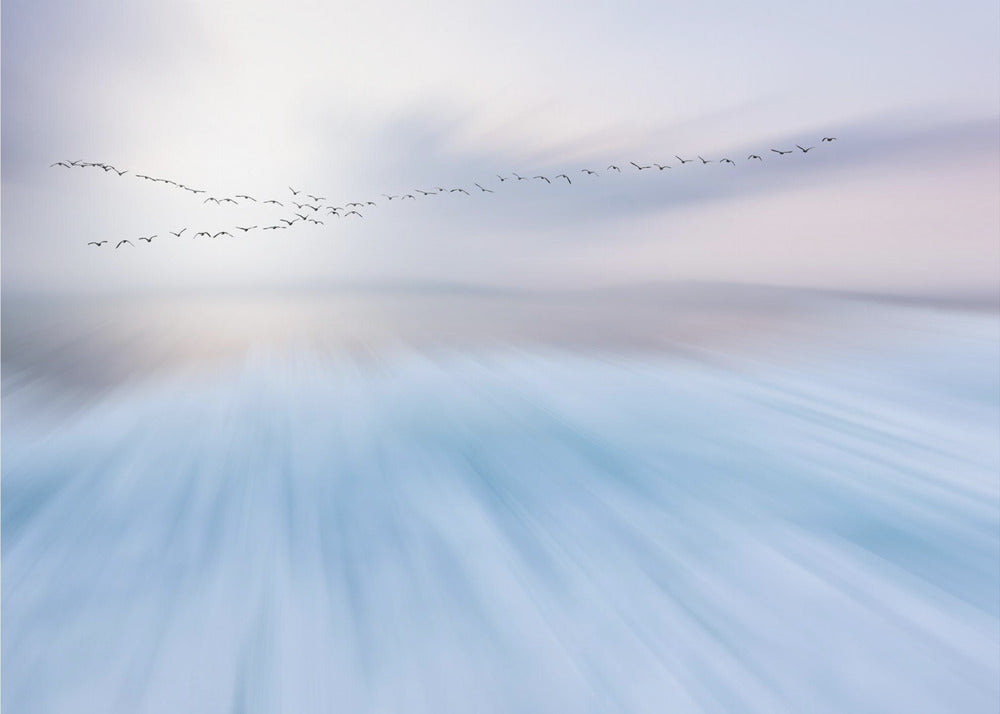 flyve over | Fototapeter