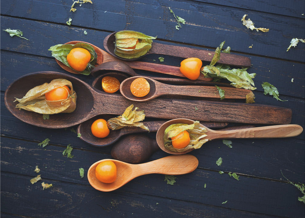 Skeer & Physalis | Plakater - Kunsttryk