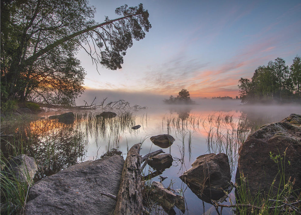 fridfull morgon | Fototapet