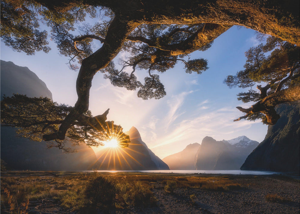 Solig dag i Milford Sound | Fototapet