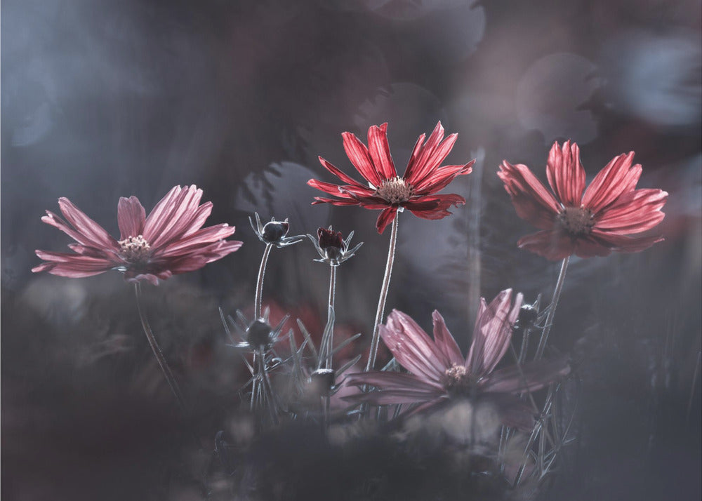De bloemen van het goede | Fotobehang