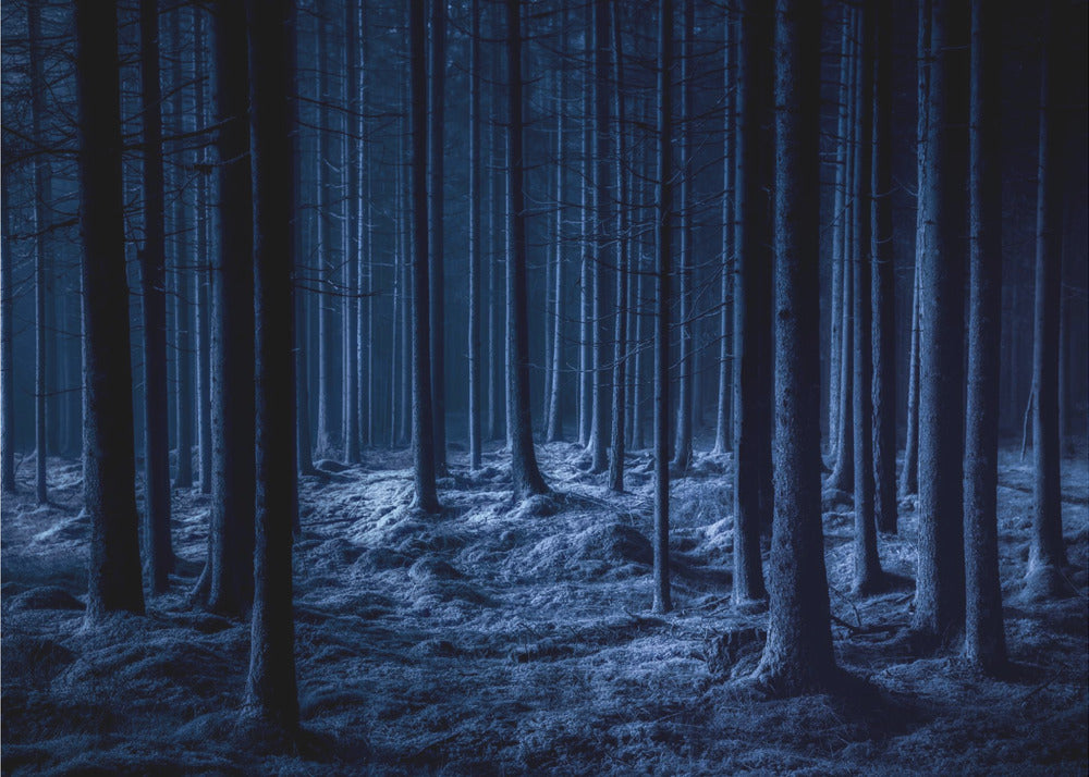 Effrayant | Papier Peint Photo
