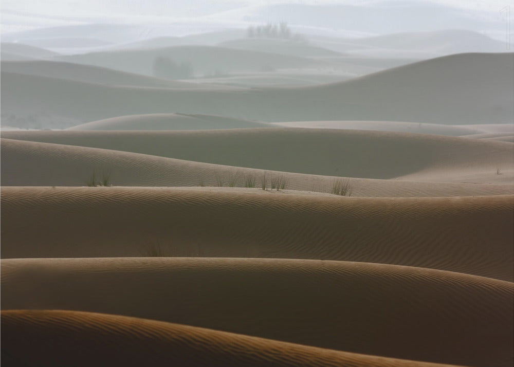 Foggy morning | Canvas